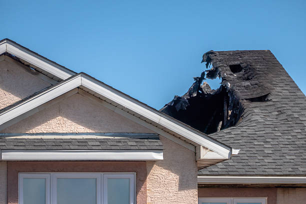 Top rated local Fire Damage Removal specialists in Kendall Park, NJ